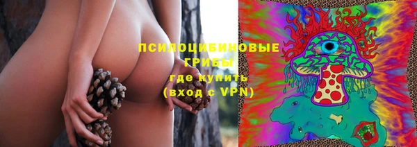 ПСИЛОЦИБИНОВЫЕ ГРИБЫ Волоколамск