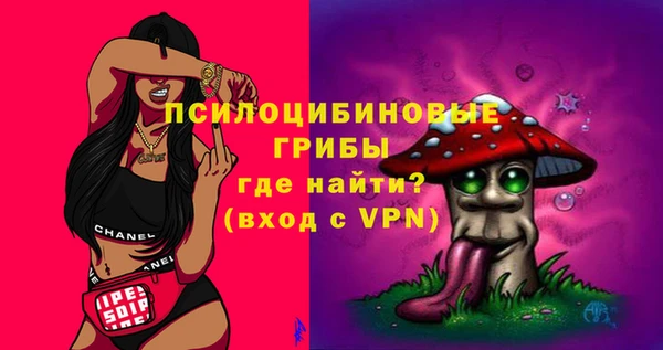 ПСИЛОЦИБИНОВЫЕ ГРИБЫ Волоколамск
