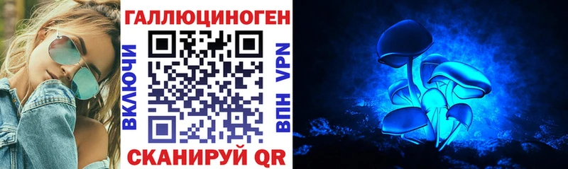 Псилоцибиновые грибы Psilocybine cubensis  Якутск 
